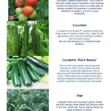 Plant Details 2020 Part 2  05-20_200511_page_003