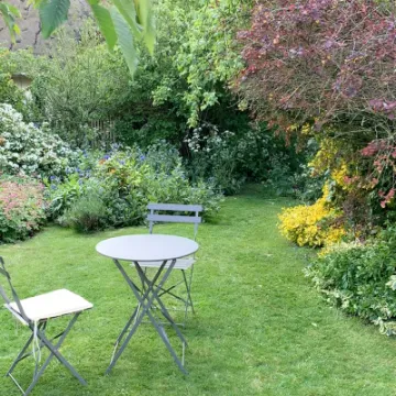 Margaret Walshe's Garden