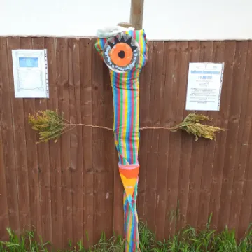 Image: 101_Beth Knighton_Mr Alien