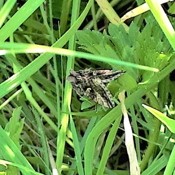 Turn Back time in Turnpike