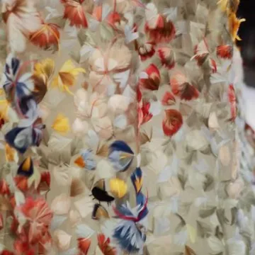 Image: 1A6103D5-7FFD-4E78-883B-FF53C3B60799