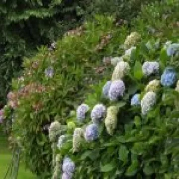 DSCF0689