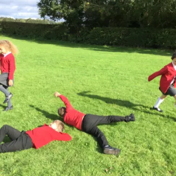 Image: 644EB0B3-F233-4339-B29D-2B538848BED9