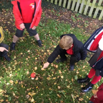 E5094FE8-07FC-4F6C-A1A0-7348A0CAB326