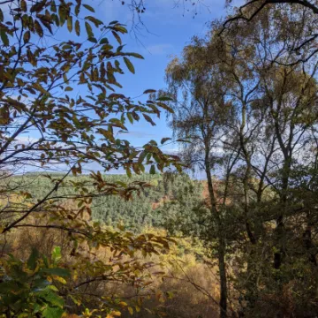 Bukely Hill 3