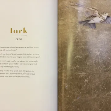 Image: 1B891949-2579-49D1-B96C-DE997193F65A