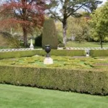 IMG 5360