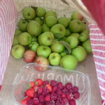 Image: 74910706-DEE5-4AFF-9B4E-EFEA29A5B2E5_1_201_a