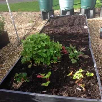 A2EB7559-32D9-42AF-808E-DBBD099DB2C9_1_201_a