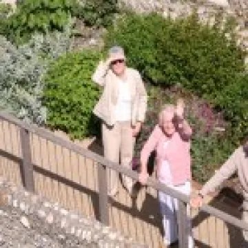 IMG 4699