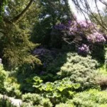 Lyme Park 001