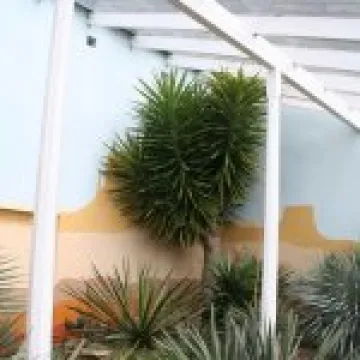 20080617 0008