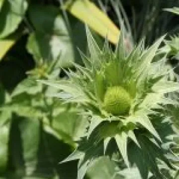 20080617 0007