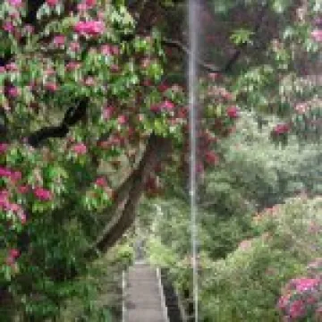 Holker Hall Visit 022