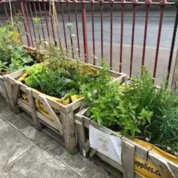 Incredible edible