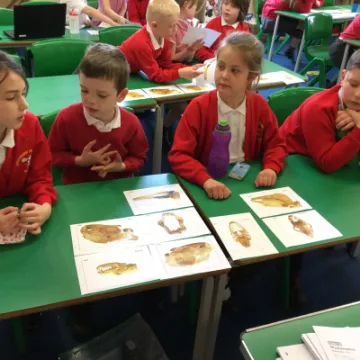 Image: 74711356-5359-4575-B25B-248468A908F8