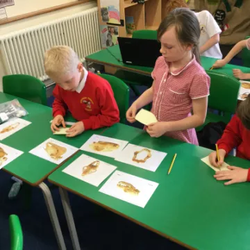 Image: 6C75DCF7-3DD9-4E49-8276-3E1194793EA8