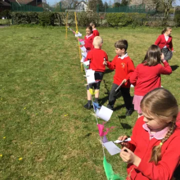 Image: 89E1E417-5278-4B54-929A-E9DE5744724D