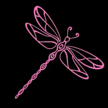 Jaqueline Wilson Dragonfly