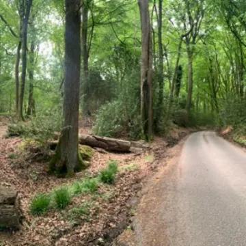 2 June &ndash; A breath of fresh air