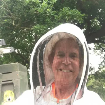 Chris Knibbs -The Beeman