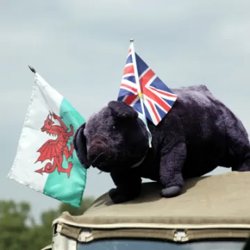 Transport Festival 2021