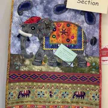 Image: 7A384B8E-58CC-4B14-9766-0F4ED733AD30