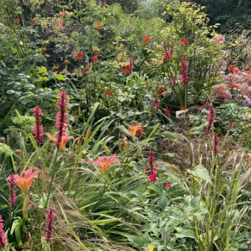 Image: 9A0D7FB9-8126-4D09-B159-1B6AF40F110B