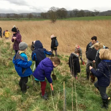 tree planting 1