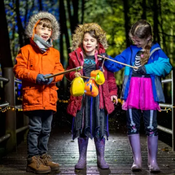 Bewilderwoodlanterns