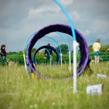 Course view