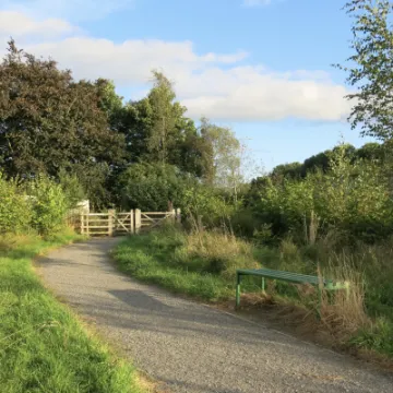 Woodland Walk Autumn 2021