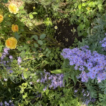 D6E979D6-9F75-4229-85E7-DB8FD522BA54