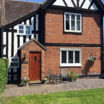 tudor rose 2