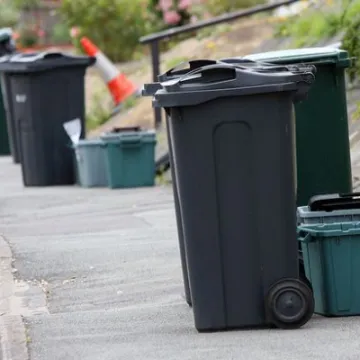 Bins on the street