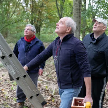 New Bird Boxes