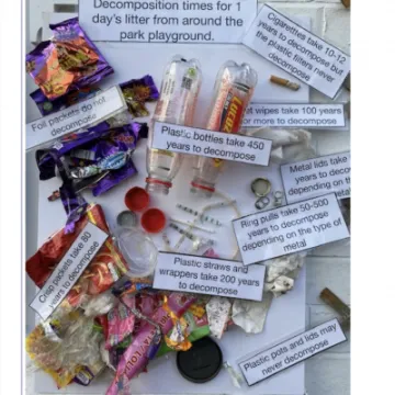 Image: 3E9D0718-5547-423F-BEFC-5BB4E776846A