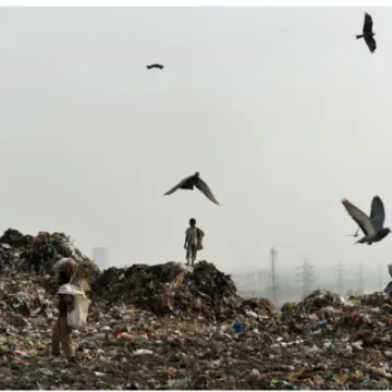 Image: 60420237-AB1F-4B3E-931C-864FD622BE7D