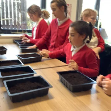 planting 3
