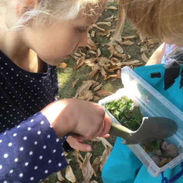 Minibeasts 3
