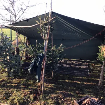 DDB8943D-9E0C-4A20-B402-D47287E201E8