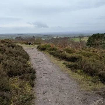 PXL_20220215_120357346-MP