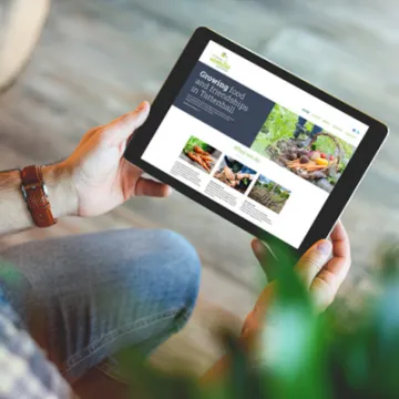 TAA_website_mockup (002)