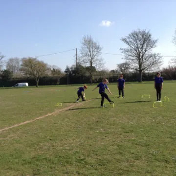 IMG 3481
