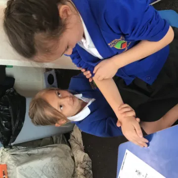 CA6615AB-3502-4F38-B073-CA4DDBC22543