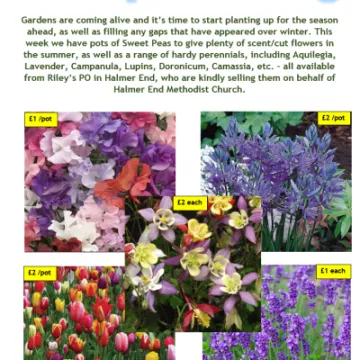 Rileys Flyer 4th April 2022