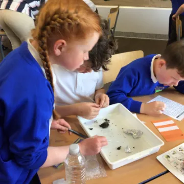 D4C9C0E9-423C-41E8-8806-6420B343C886