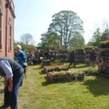 2014 Plant Sale