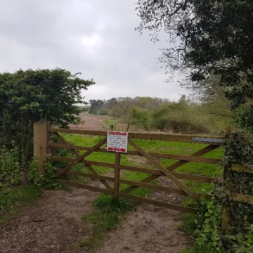 PermFtpthRHeyesWhirlRdpic_2