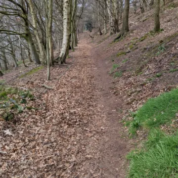 PXL_20220321_112808934-MP